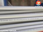 Stainless Steel ASTM A213 TP316L U Bend Tube For Heat Exchanger