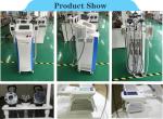 Fat Freeze slimm best seller high performance good quality 5 heads cryolipolysis