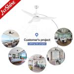 Mulit Colors 44 Inch 3 Blade Ceiling Fan Low Voltage Quiet Mode