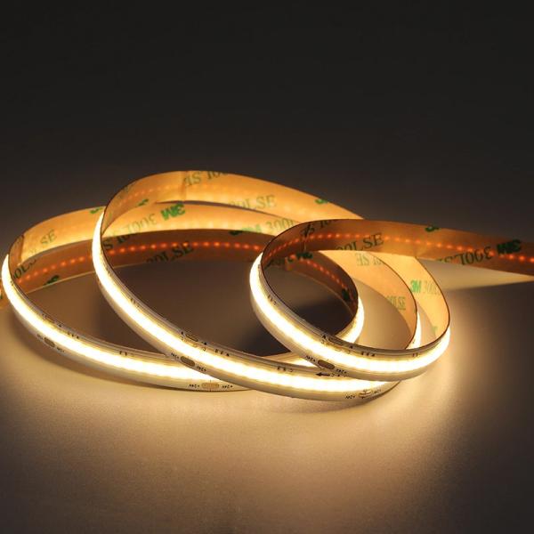50000 Hours Working Lifetime CCT DC12V24V 8mm 10mm 576Leds 3000K-6500K Flexible