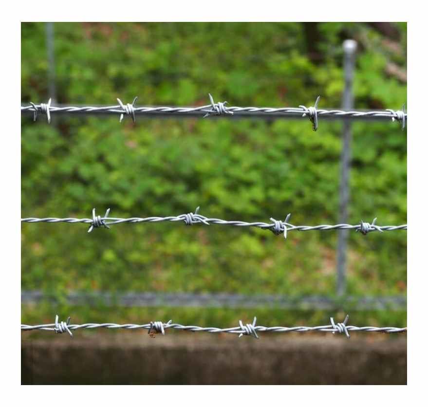 High Quality South America Market Galvanized Double Twisted Barbed Wire Fencing 500 Meters