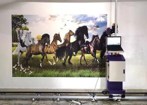 Wholesale DX5 DX7 DX800 Head 0.5CM 20ML/㎡ Wall painting Machine for outdoor and indoor wall usage from china suppliers