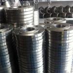 X16CrMo5-1 Nickel Alloy Steel flanges EN 10222-2WN RF Flange 1.7366 Welding neck