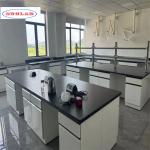 Stainless Steel Chemistry Lab Bench with Number of Compartments As Drawing