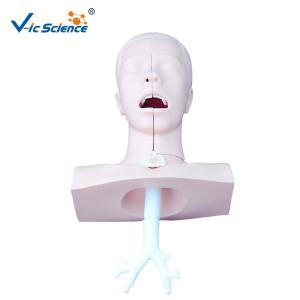 Wholesale Suction Medical Simulation Mannequins For Nursing Skills Training from china suppliers