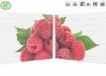 Ultra Lightweight Outdoor P3.91-P7.82 500*1000mm Cabinet Size Transparent LED