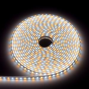 Wholesale Waterproof IP65 630nm 12W 60leds/m SMD RGB LED Strip Light from china suppliers