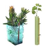 UV Treated Corrugated Tree Guards 3mm PP Corflute Plant Guards