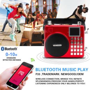 Wholesale Newgood 20W Bluetooth Outdoor Music Player with Voice recording and Handle from china suppliers