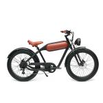 48V750W Bafang Motor Electric Bike DOMANCA Customized Fat Tire Electric