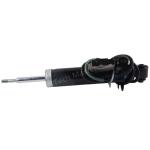 37126794549 37126794550 Air Suspension Struts For BMW X5 X6 E70 E71 Rear 2006
