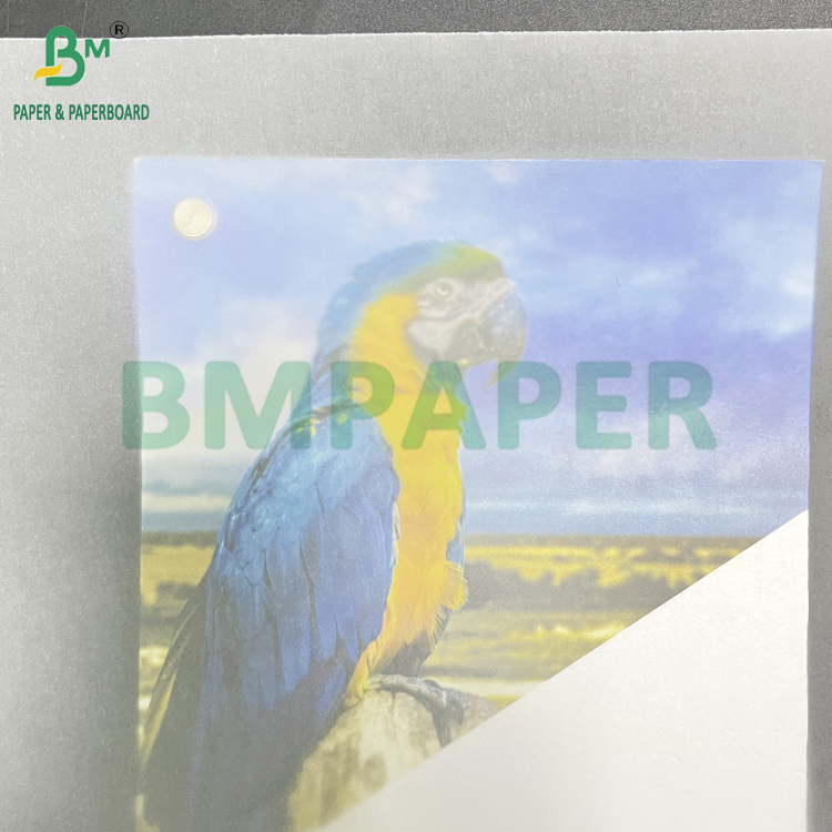 50 83 GSM Smooth White Semitransparent Transfer Paper Roll  880mm x 40m