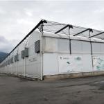 Black White Film Tropical Poly Tunnel Multi-span Seedling Blackout Greenhouse