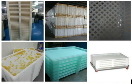Big Chewable Soft Gel Capsule Making Machine Automatic veggie
