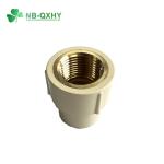 ASTM D2846 Brass Threaded CPVC Female Adapter for Water Supply Customized