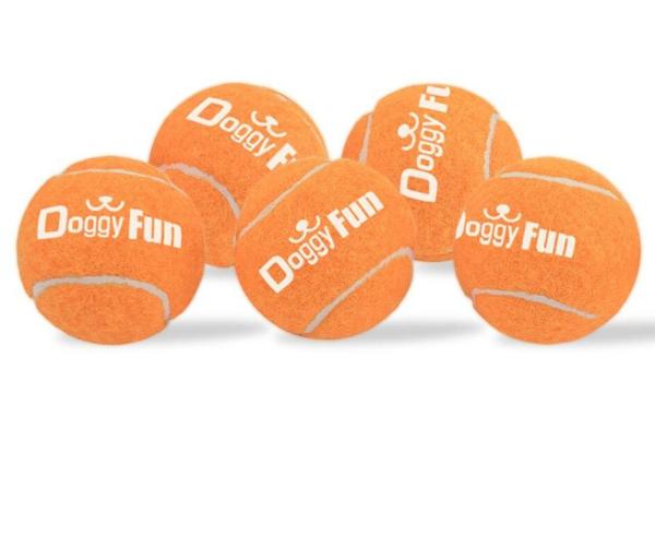 Doggy Fun 5 Ball Pack - 5 Small Replacement Toy Dog Balls for the Doggy Fun