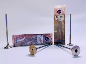 Wholesale 04303319 04303320 VOLVO Engine Valve Anti Corrosion For VOLVO D12D from china suppliers