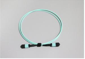 Wholesale OM3 / OM4 Male Type MTP / MPO Fiber Optic Patch Cord With 3.0mm Fiber Cable from china suppliers