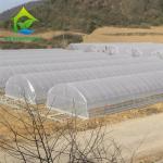0.06mm 0.20mm Thick Flm Poly Tunnel Greenhouse Hot Galvanised Steel Greenhouse