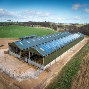 Wholesale Painted Steel Structure Poultry House from china suppliers