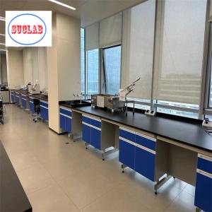 Wholesale Chemical Resistant Laminate Chemistry Lab Workbench Laboratory Casework Malaysia With Safety Features from china suppliers