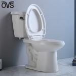 Ada Two Piece Toilet Flush 2 Piece Water Closet In Master Bathroom MAP 1000G