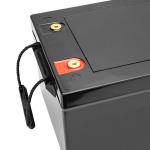 12V 300Ah 3840Wh Deep Cycle LiFePO4 Battery Built In 200A BMS