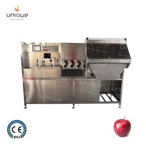 Wholesale Professional Stainless Steel 304 Electric Apple Peeler and Corer Slicer for Commercial from china suppliers