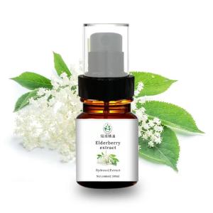 Wholesale Muscle Soreness Relief Natural Hydrosol Organic Elderberry Extract 100% Pure from china suppliers