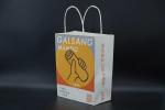 Versatile Environmentally Friendly Sustainable Paper Bags Lightweight FSC