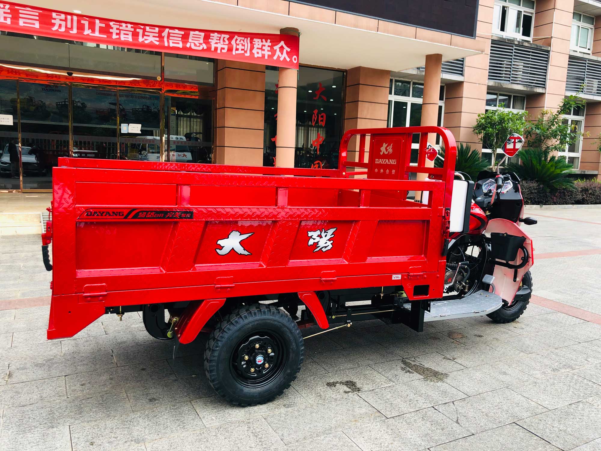 800W DAYANG DY-R1 RUITENG 250cc Cargo Tricycle for Heavy Duty CCC Three Wheels Motorcycle