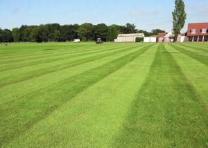 Wholesale Abrasion Resistant Soccer Synthetic Lawn Artificial Turf from china suppliers