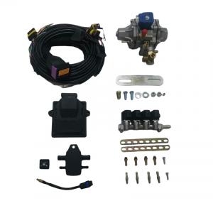 Wholesale 4 Cylinder Injector Rail 24 Pin ECU LPG CNG Reducer For CNG LPG Mini Conversion Kits from china suppliers