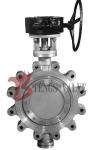 Lug Type Stainless Steel Butterfly Valve Manual Gear Operated Friction Free