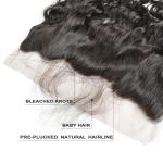 Short Curly Human Hair Lace Front Wigs , Lace Front Curly Hair 10" To 22" Length