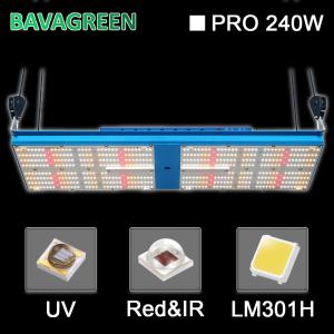 Wholesale BAVA Quantum Board 2700k 240W LED Grow Light RED UV For Medical Plant from china suppliers