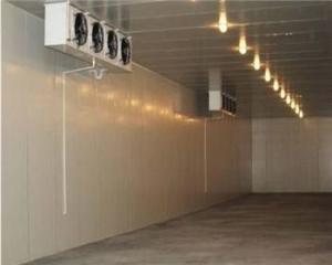 Wholesale Pharmaceutical Food Cold Storage Panel Manufacturer Polyurethane Polystyrene Board from china suppliers