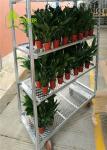 Steel Trolley Dutch Flower Trolley Steel For CC Containers Nylon Wheel Material