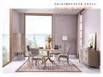 American style Dining table and Chairs in Circle used Stainless steel legs with
