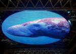 Advertising Glass LED Transparent Screen Outdoor For Shopping Mall