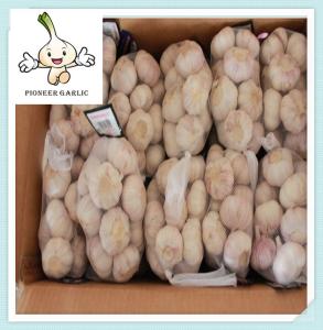 Wholesale High Quality Wholesale Price Fresh Natural White Garlic /Normal white garlic from china suppliers