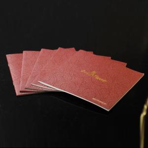 Wholesale Pantone Colors PMS Picture Book Printing Custom Size A4 A5 A6 from china suppliers