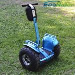 Electric Personal Transportation Vehicles 19 Inch Tire Free Standing