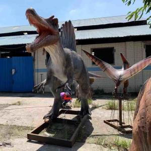 Wholesale Exhibitions Realistic Animatronic Dinosaur 6m Spinosaurus Model from china suppliers