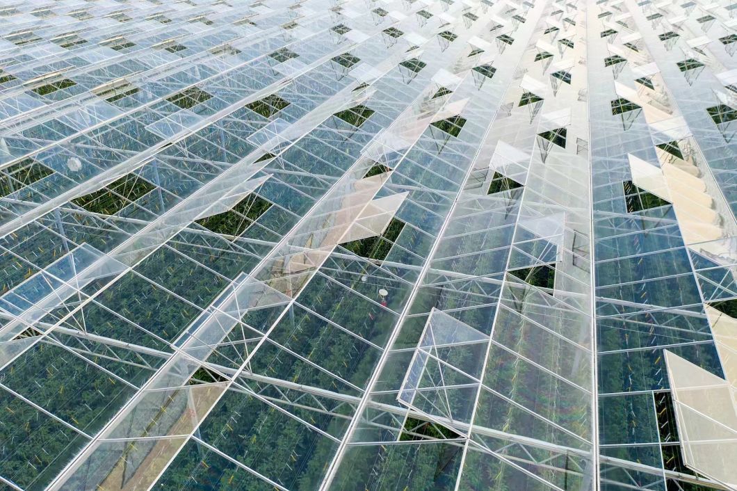 Greenhouse Hydroponics Growing System for Vegetables Flowers