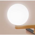 Nordic lustre metal Designer bird Pendant light art dining room office Yanzi