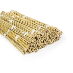 Wholesale Garden Furniture Natural Bamboo Stakes Raw Bamboo Poles 40cm To 500cm Height from china suppliers
