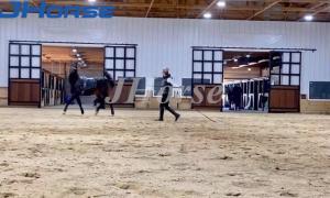 Wholesale 3m 3.5m Sling Or Swing Door Portable Horse Stable from china suppliers