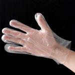 Transparent Food Grade Disposable Plastic Gloves For Cooking And Cleaning Food