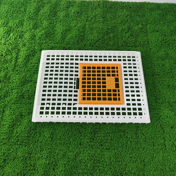 Sturdy Lightweight Poultry Turnover Box Poultry Transport Cages For Hygienic